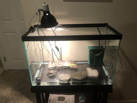 Thoughts on 20 gallon tall musk turtle tank : r/turtle