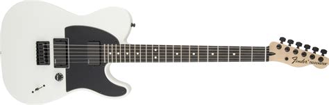 Image result for Jim Root Telecaster
