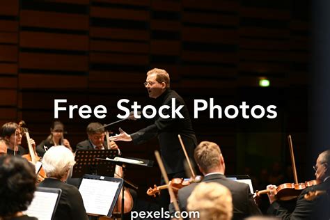 Image result for Orchestral Instruments