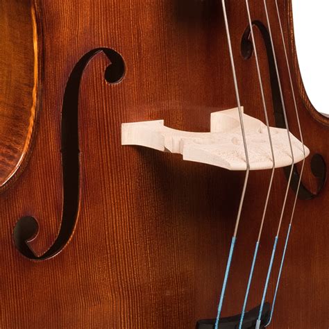 Image result for Gamba Tutorial