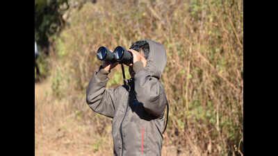 Bird-Watching Event: Tree lovers to go bird watching at Sukhna ...