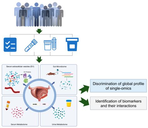 Integrative Multi-Omics Analysis for the Determination of Non-Muscle ...