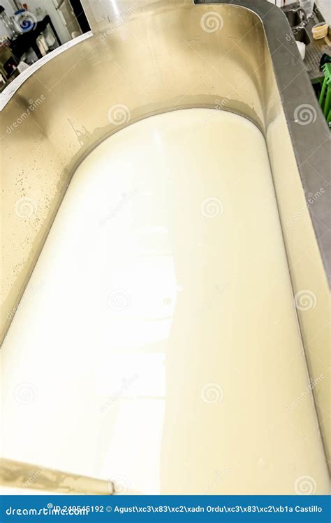 Artisanal Cheese Making, Cutting the Curd and Whey in the Factory Tank ...