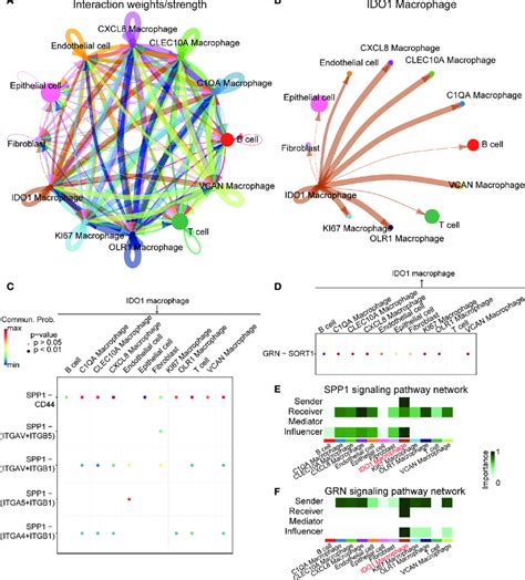Cell-Cell Interaction 的图像结果