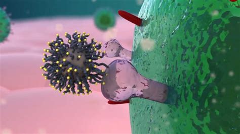 Names of Science Documentaries Using Animation 的图像结果