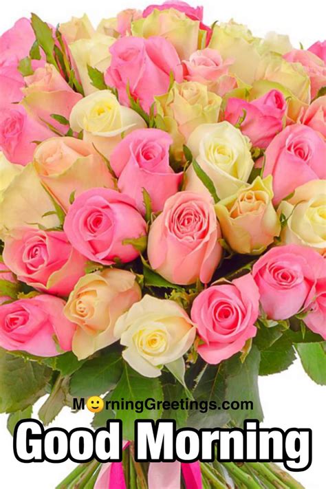 Roses Images Of Flowers Good Morning