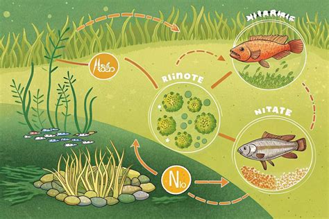 How to Start Fish Farming 的图像结果