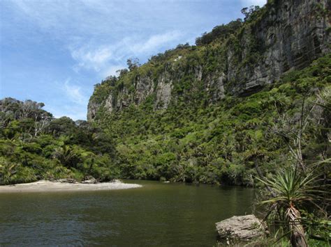 Pororari River Walk in New Zealand | TimesTravel