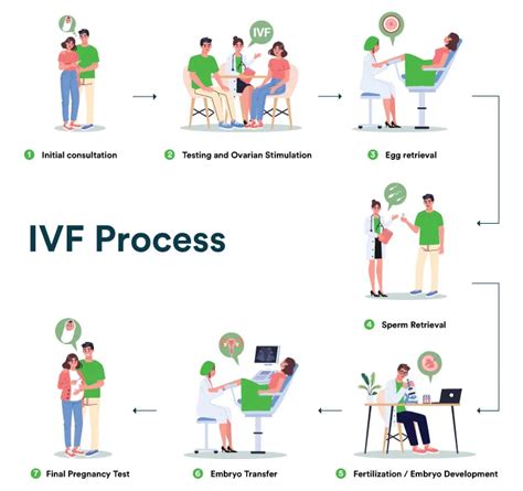 IVF Process Step by Step 的图像结果
