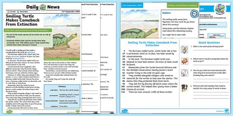 Smiling Turtle Reading Comprehension | Twinkl NewsRoom