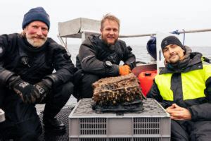 Divers cleaning up the ocean net themselves an Enigma machine | War ...