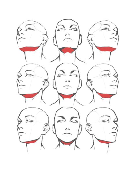 Human Anatomy Drawing, Anatomy Art, Face Anatomy, Human Figure Drawing, Face Drawing Reference ...