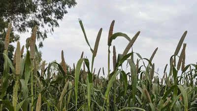 Precision Agriculture: How digital twins will enable the next ...