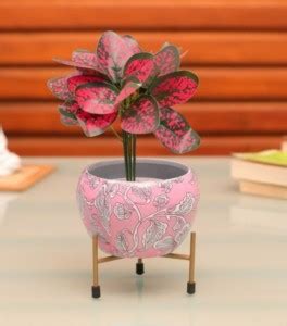 HUMERA HANDI CRAFTS 1206 L Plant Container Set Price in India - Buy ...