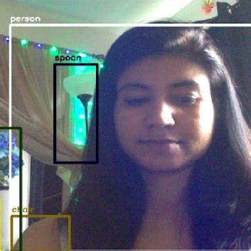 Object Detection Example 的图像结果