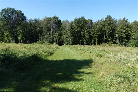 Gallery - Black Bear RV Park