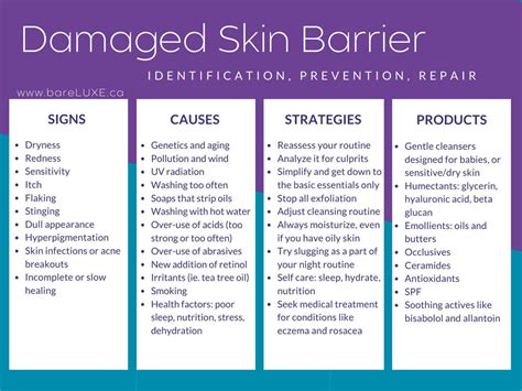 https://cdn.shopify.com/s/files/1/0527/4723/9592/files/damaged-skin-barrier_1024x1024.jpg?v=1648589667