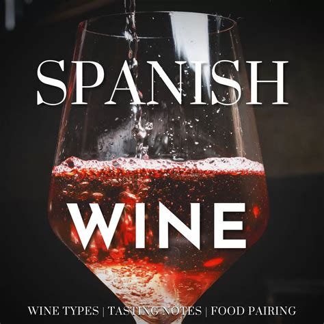 Guide to Spanish Wine: Types, Tasting Notes, Food Pairings
