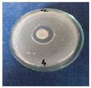Formulation and Characterization of Niacinamide and Collagen Emulsion ...