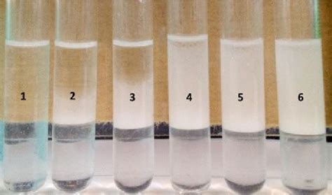 Image result for Emulsification Test Kit