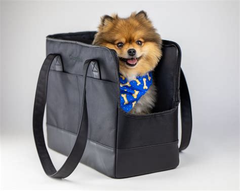 30+ Discreet Dog Purse Carrier Options For Stylish Pups - Hey, Djangles.