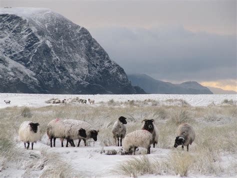 THE 5 BEST Places to Visit in Keel (2026) - Must-See Attractions
