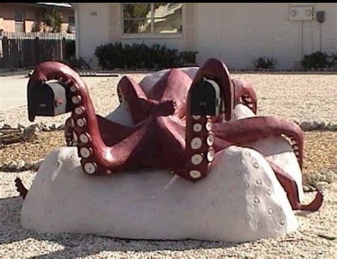 Image result for Mail Box Octopus