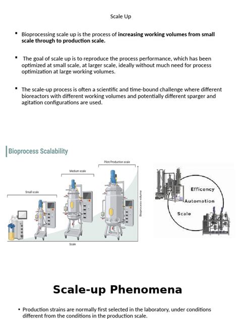 Bioengineering Processes 的图像结果