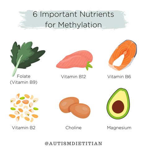 MTHFR Gene Mutation | The Nourishing Autism Collective