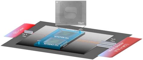Toward Chalcogenide Platform Infrared Sensor Dedicated to the In Situ ...