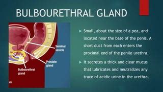Image result for Reflective Notes Example