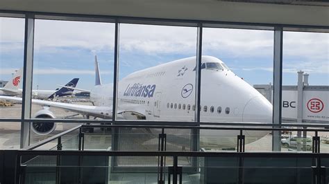 Lufthansa 747 Business Class 的图像结果
