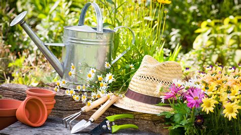 Image result for Spring Gardening Tips