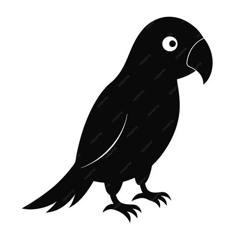 Image result for Simple Parrot Receipts