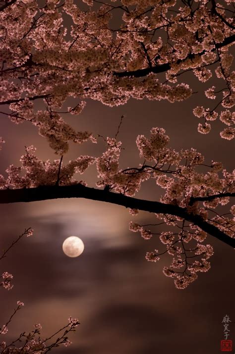 Blossoming Moon: Unveiling the Anishinaabe Legacy