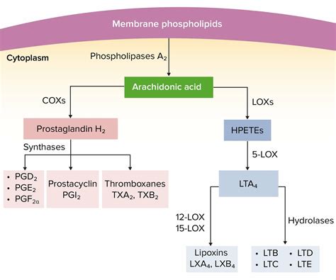Nonsteroidal Antiinflammatory Drugs (NSAIDs) | Concise Medical Knowledge