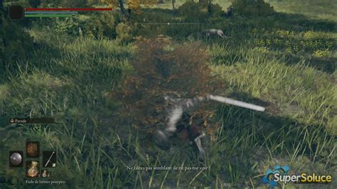 Boc le Semi-Humain - Soluce Elden Ring | SuperSoluce