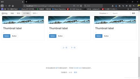 Bootstrap Web 的图像结果