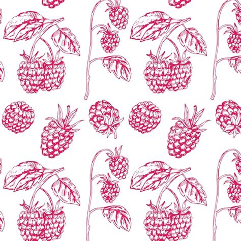 Seamless background with raspberries, vector image | Premium Vector