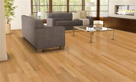 Oak, Birch and Maple: Excellence of Hardwood Flooring - Hardwood ...