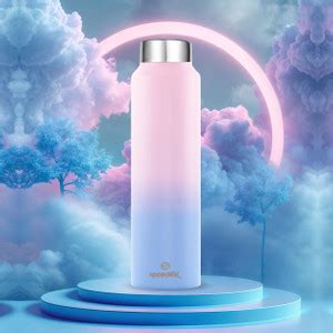 SPEEDEX ATELIER Stainless Steel Water Bottle for fridge School Gym ...