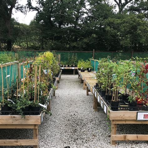 CORNISH GARDEN NURSERIES (Updated 2026) All You Need to Know BEFORE You ...