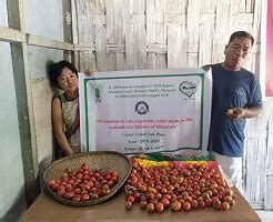 Transforming rural livelihood of Mizo farmers through community based ...