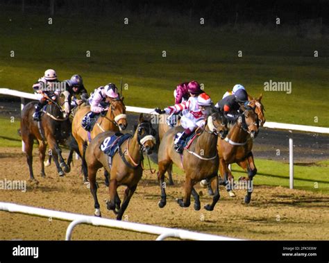 Wolverhampton Wolves Races 的图像结果