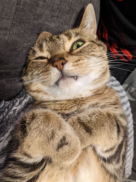 She Got Abused by Her Brother for Wanting to go on a Date with a Boy ...