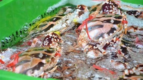 سوق السمك والبروميند في أبردين | Hong Kong Tourism Board