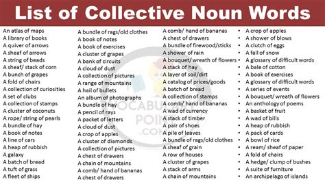 what is a collective noun example Archives - Vocabulary Point