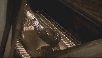 You will not believe this! Inside The U.S Army’s Fascinating Hidden ...