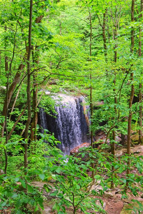Big Laurel Falls Is The Hard Hike That's Worth It - Exploring Chatt