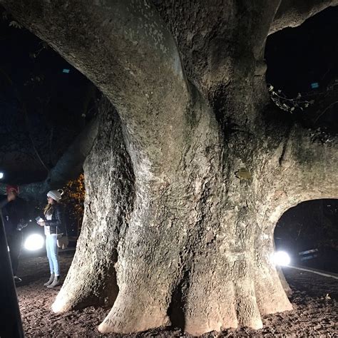 BABALU PARK (2025) All You Need to Know BEFORE You Go (with Photos ...